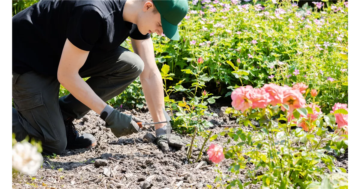 Pflege und Unterhalt - Gärtnerei Elsensohn