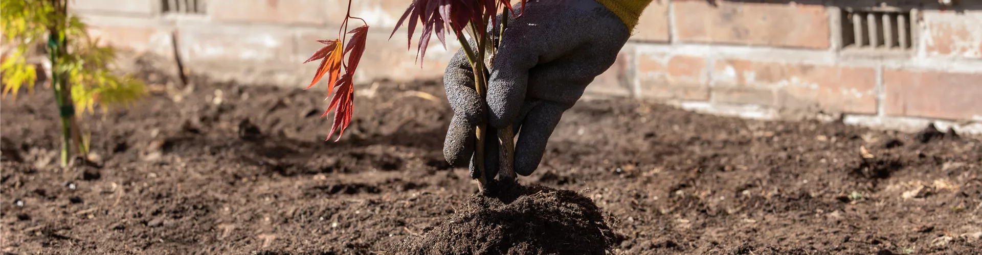 GS659482.jpg GS659482.jpg