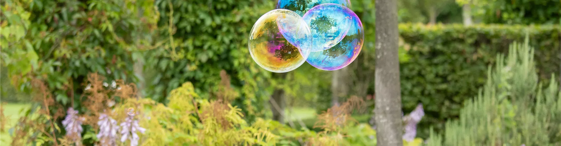 GS669452.jpg GS669452.jpg