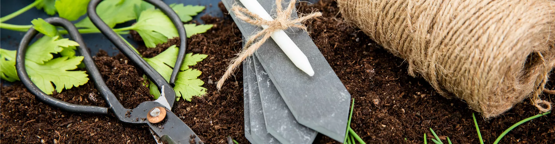 GS661962.jpg GS661962.jpg