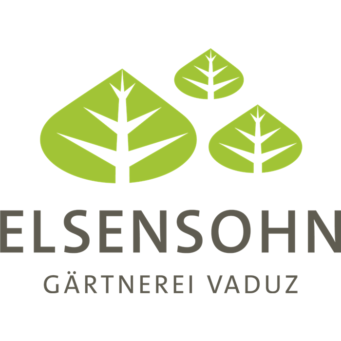 Bruno Elsensohn Bruno Elsensohn