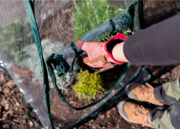 Pflanzenüberwinterung Pflanzenüberwinterung