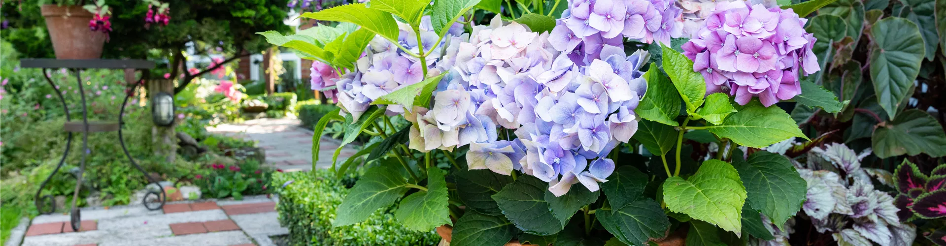 GS671904.jpg GS671904.jpg