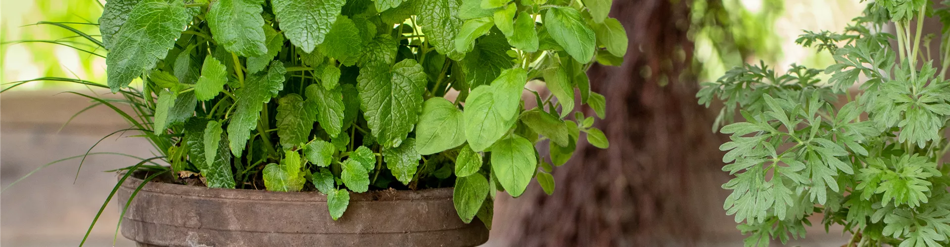 GS665846.jpg GS665846.jpg