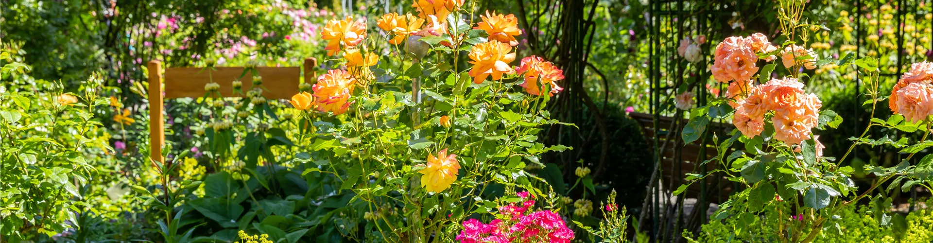 GS666835.jpg GS666835.jpg