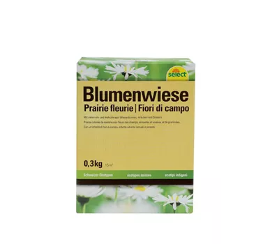 Blumenwiese