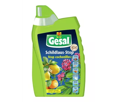 Gesal Schildlaus-Stop 6x500ml