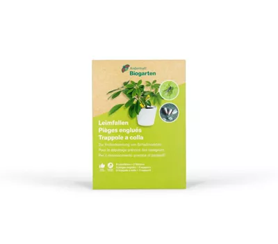 Leimfallen mit 8 Fallen und 2 Stützen