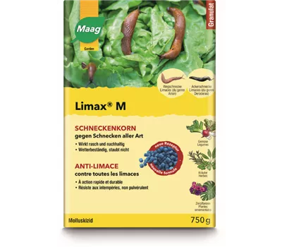 Limax M