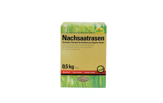 Nachsaatrasen