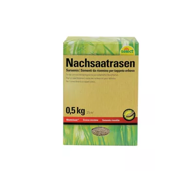 Nachsaatrasen