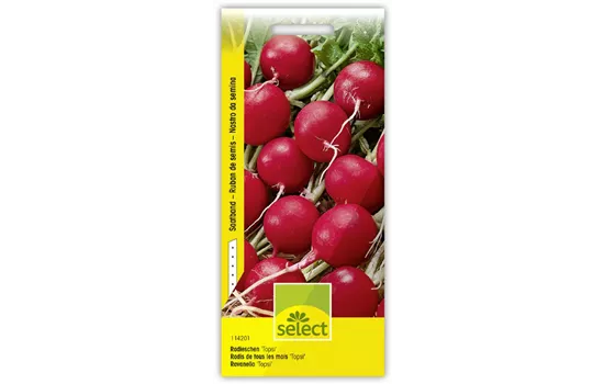 Radieschen 'Topsi'