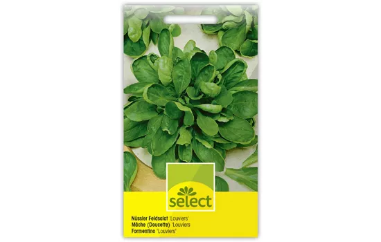 Nüssler Feldsalat 'Louviers'