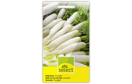 Radieschen 'Eiszapfen'