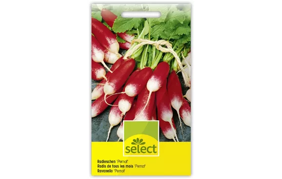 Radieschen 'Pernot'