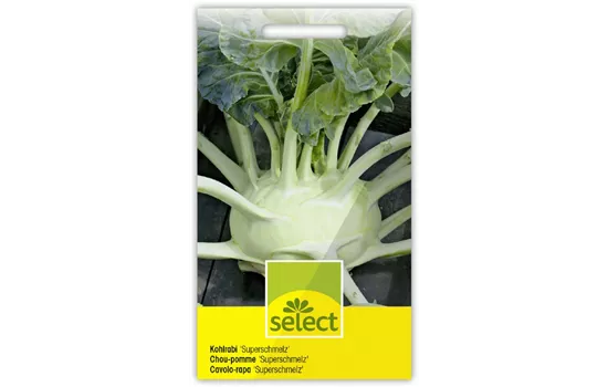 Kohlrabi 'Superschmelz'