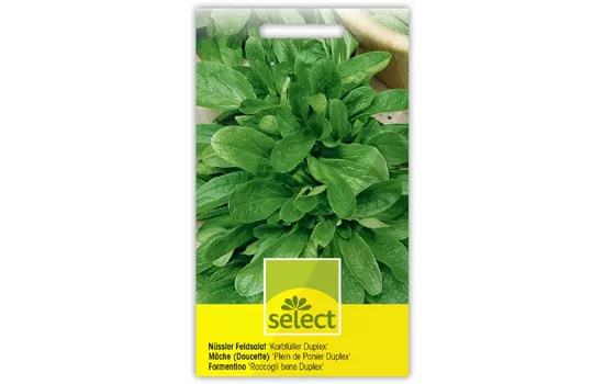 Nüssler Feldsalat 'Korbfüller Duplex'
