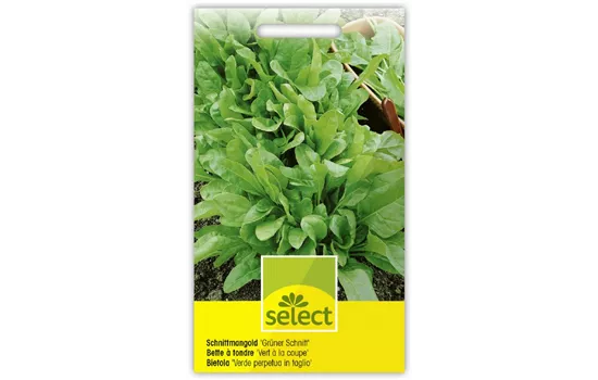 Schnittmangold 'Grüner Schnitt'