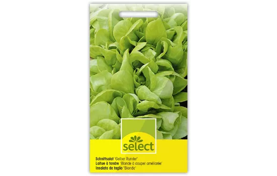 Schnittsalat 'Gelber Runder'