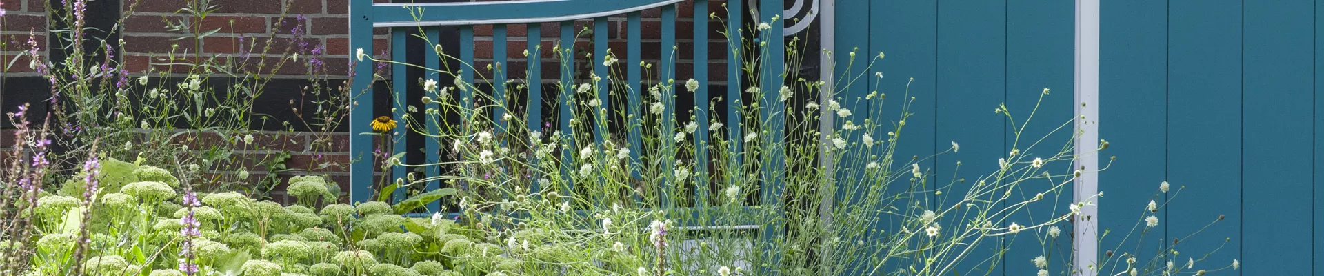 GS503712.jpg GS503712.jpg