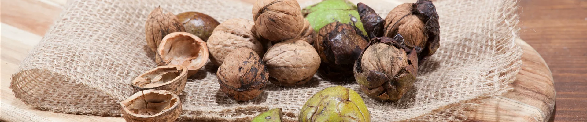 GS506336.jpg GS506336.jpg