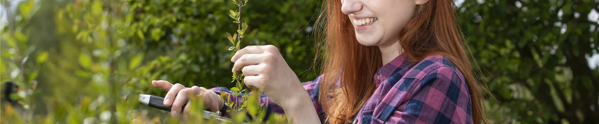 GS619547.jpg GS619547.jpg