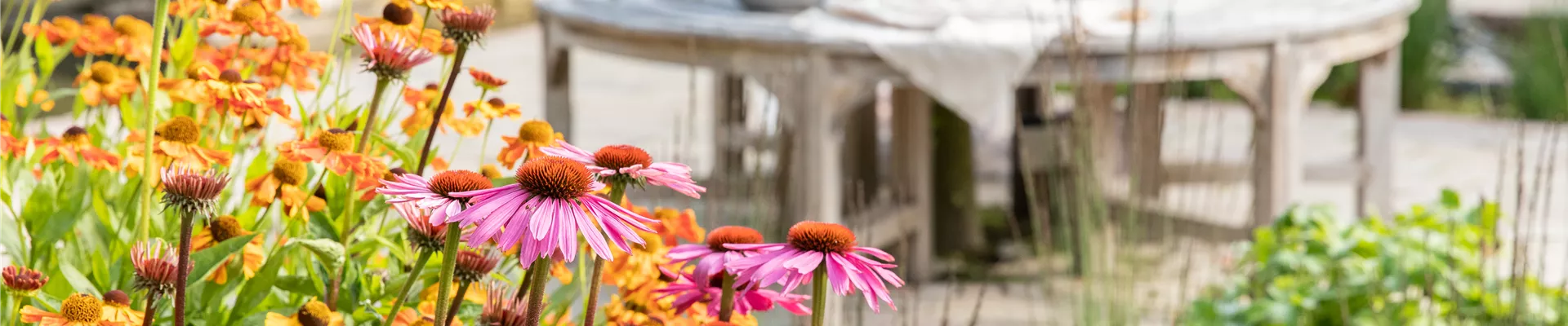 GS669398.jpg GS669398.jpg