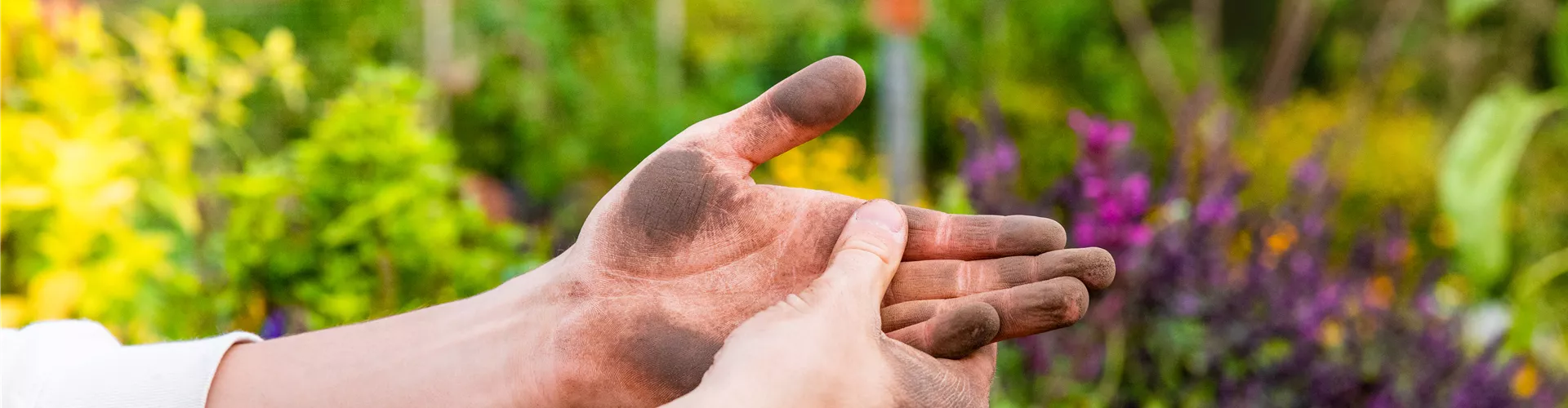 GS676154.jpg GS676154.jpg