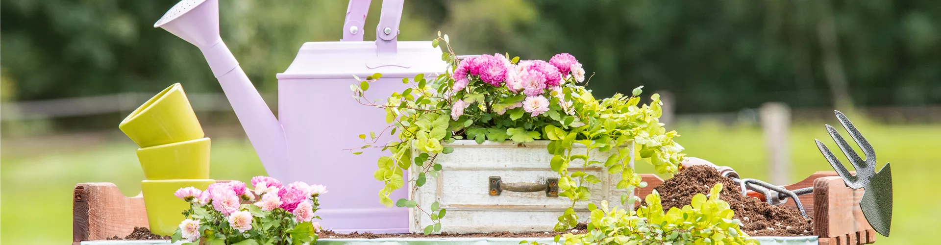 GS673138.jpg GS673138.jpg