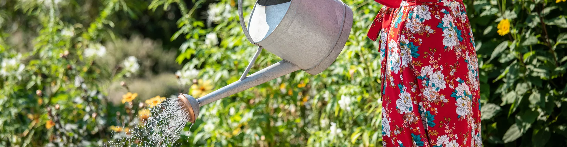 GS671881.jpg GS671881.jpg