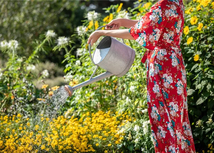 Unser Team Unser Team