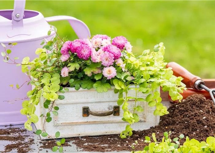 Geschäftsphilosophie Geschäftsphilosophie