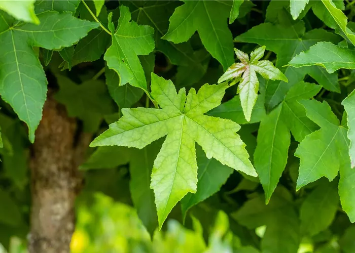 Öffnungszeiten Öffnungszeiten