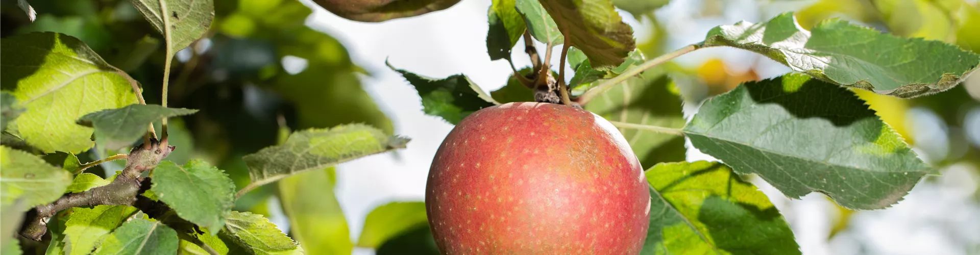 GS613519.jpg GS613519.jpg