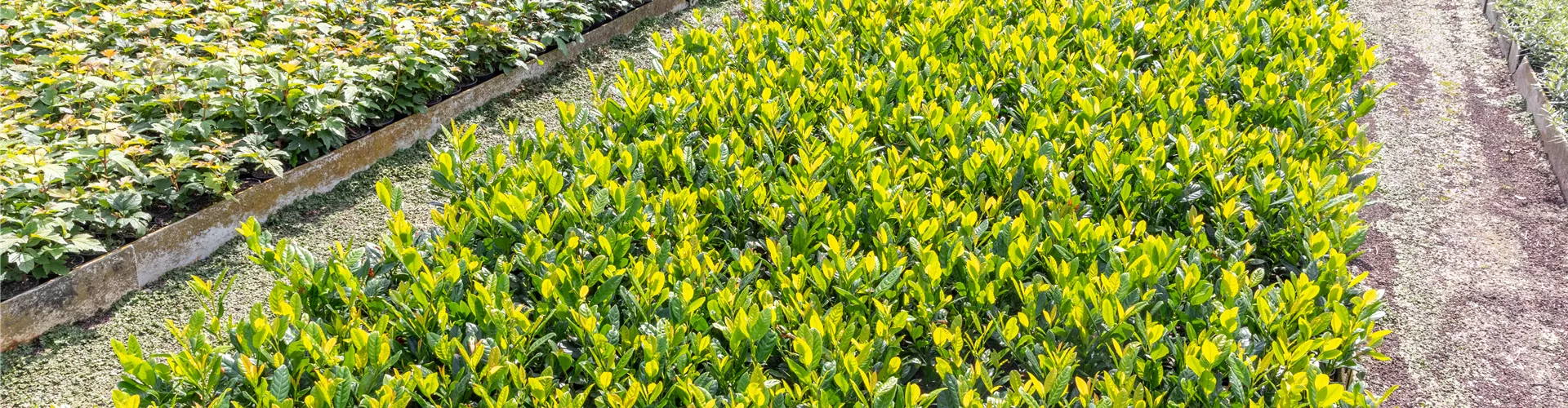 GS649904.jpg GS649904.jpg