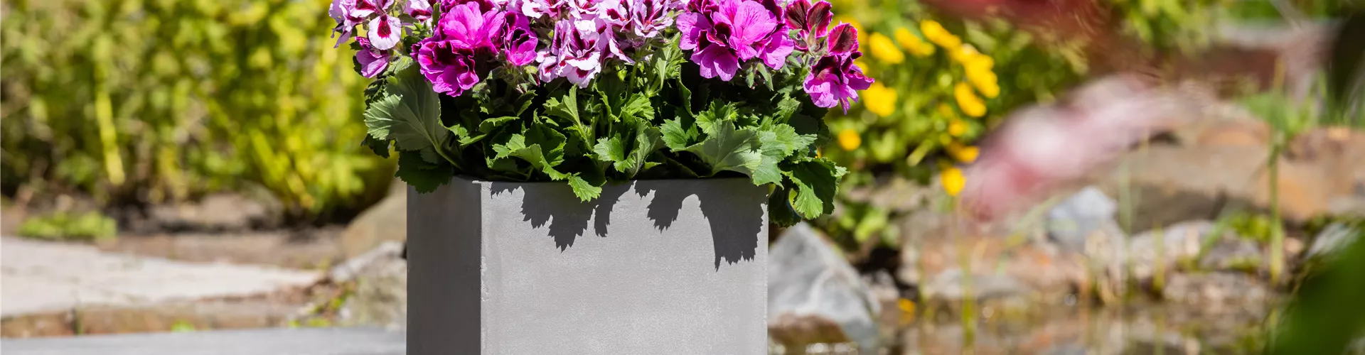 Bepflanzter Kübel im Gartenambiente