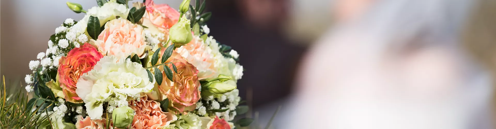 GS536388.jpg GS536388.jpg