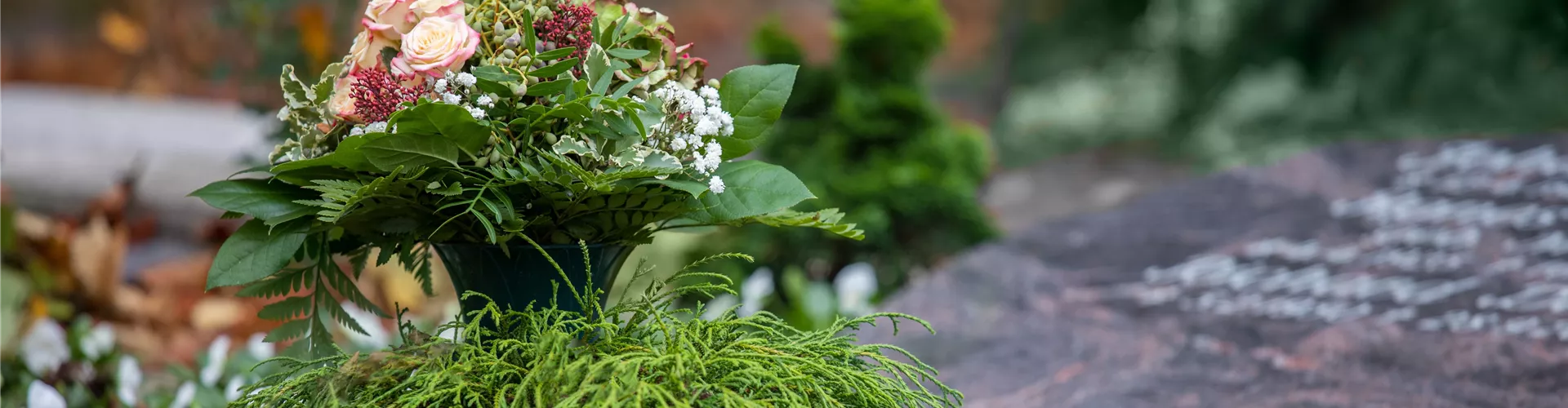 GS706140-0-0-6720-3780.jpg GS706140-0-0-6720-3780.jpg