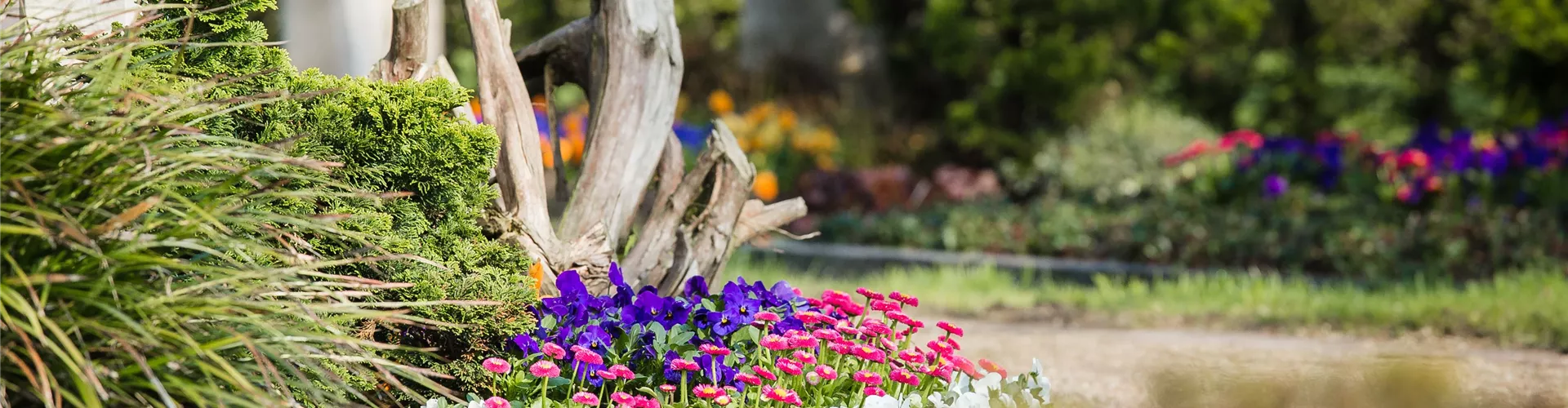 GS531795-0-537-5162-2903.jpg GS531795-0-537-5162-2903.jpg