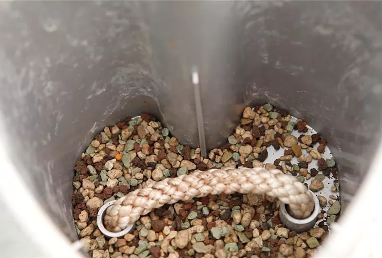 Einblatt - Einpflanzen in ein Gefäß (3)