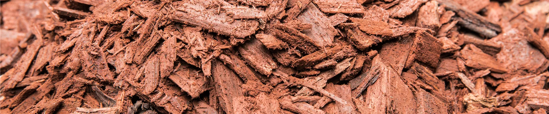 GS527692.jpg GS527692.jpg