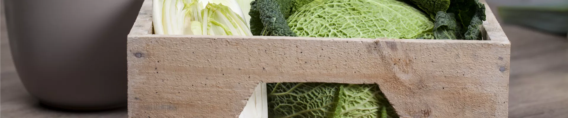 Brassica oleracea var. capitata var. sabauda